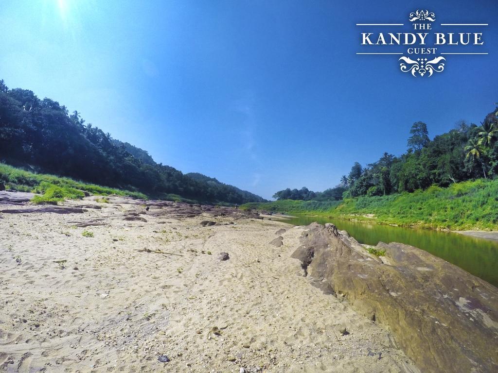 Kandy Blue Exterior photo